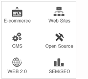 siti web 2